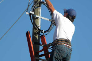 fibra