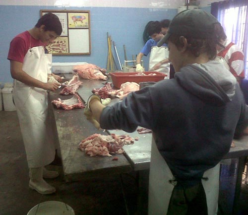 labo-escuela-ferre