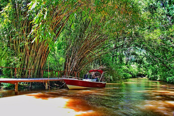 tigre argentina